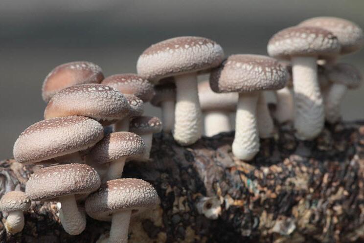 QQ截圖20210615152040.jpg QQ截圖20210615152040.jpg