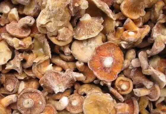 食用菌 (3).jpg 食用菌 (3).jpg